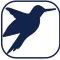 Avistamiento de aves